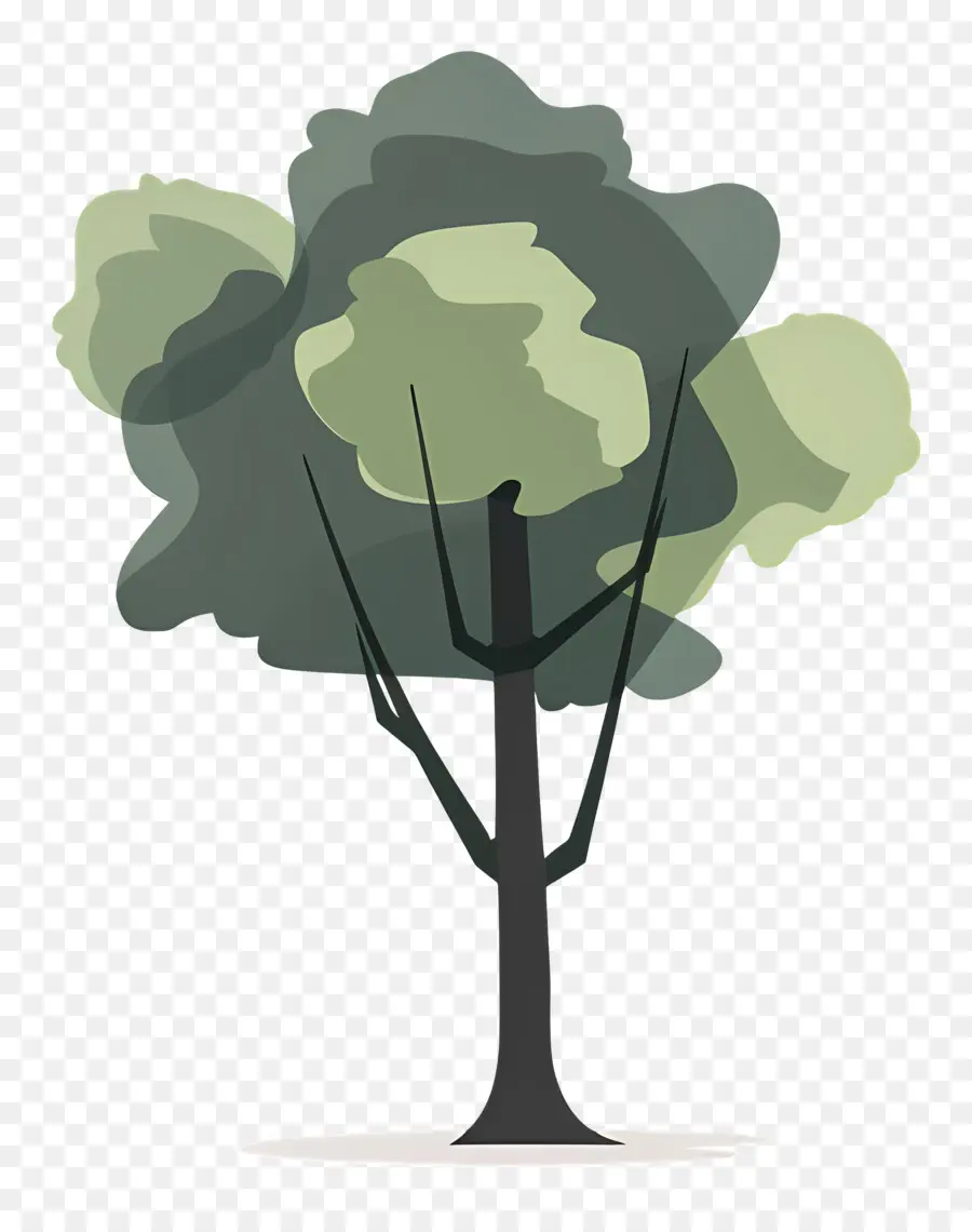 árbol Del Parque，Árbol PNG