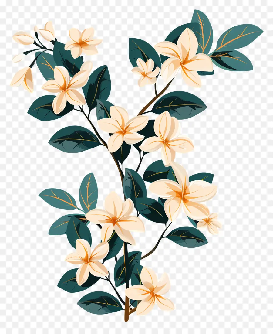 Jazmín Garland，Floral Rama PNG