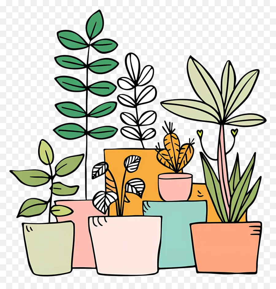 Plantas De Interior En Macetas，Las Plantas En Maceta PNG