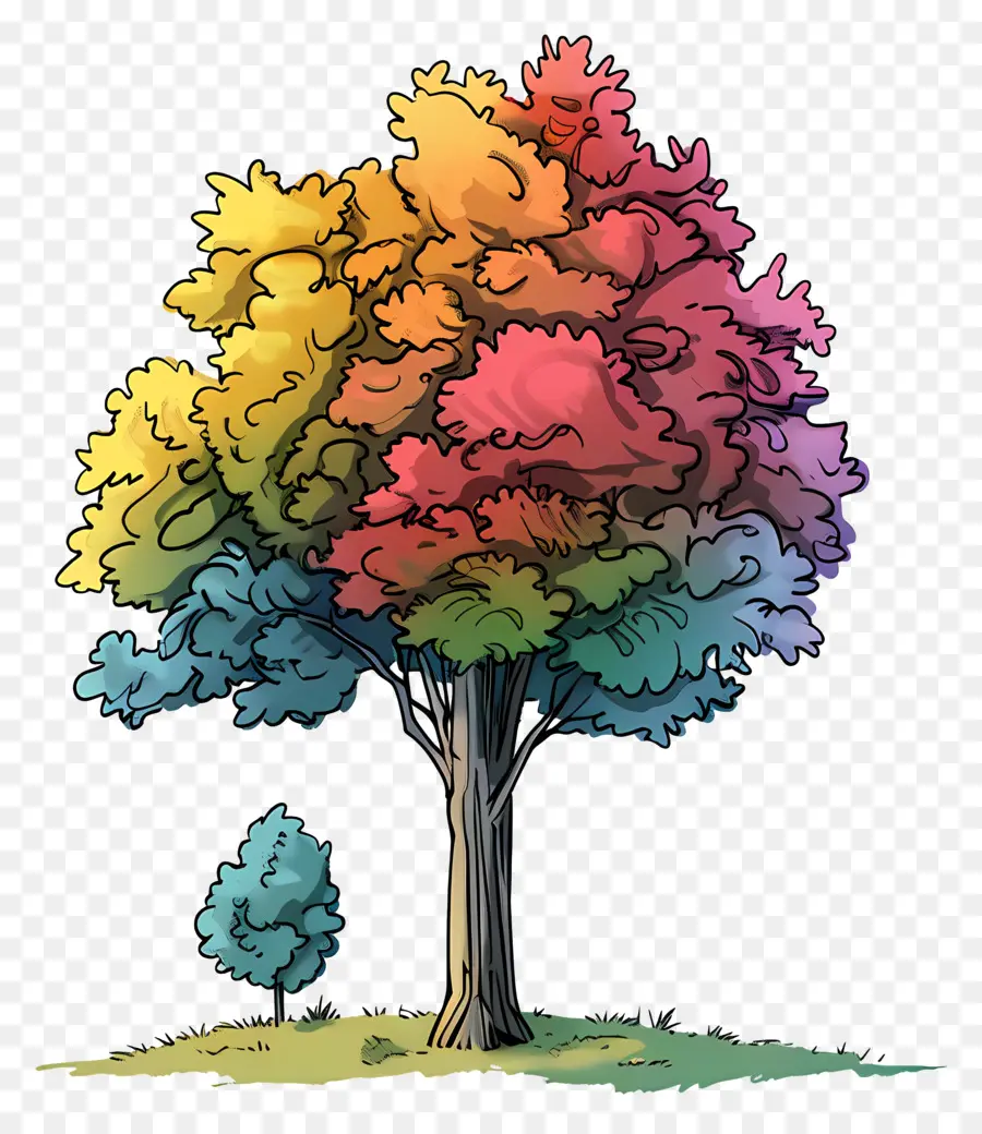 árbol Del Parque，Arco Iris De árbol PNG