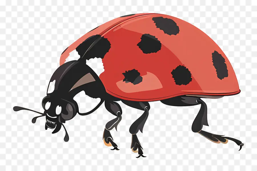 Ladybug，La Dama Escarabajo PNG