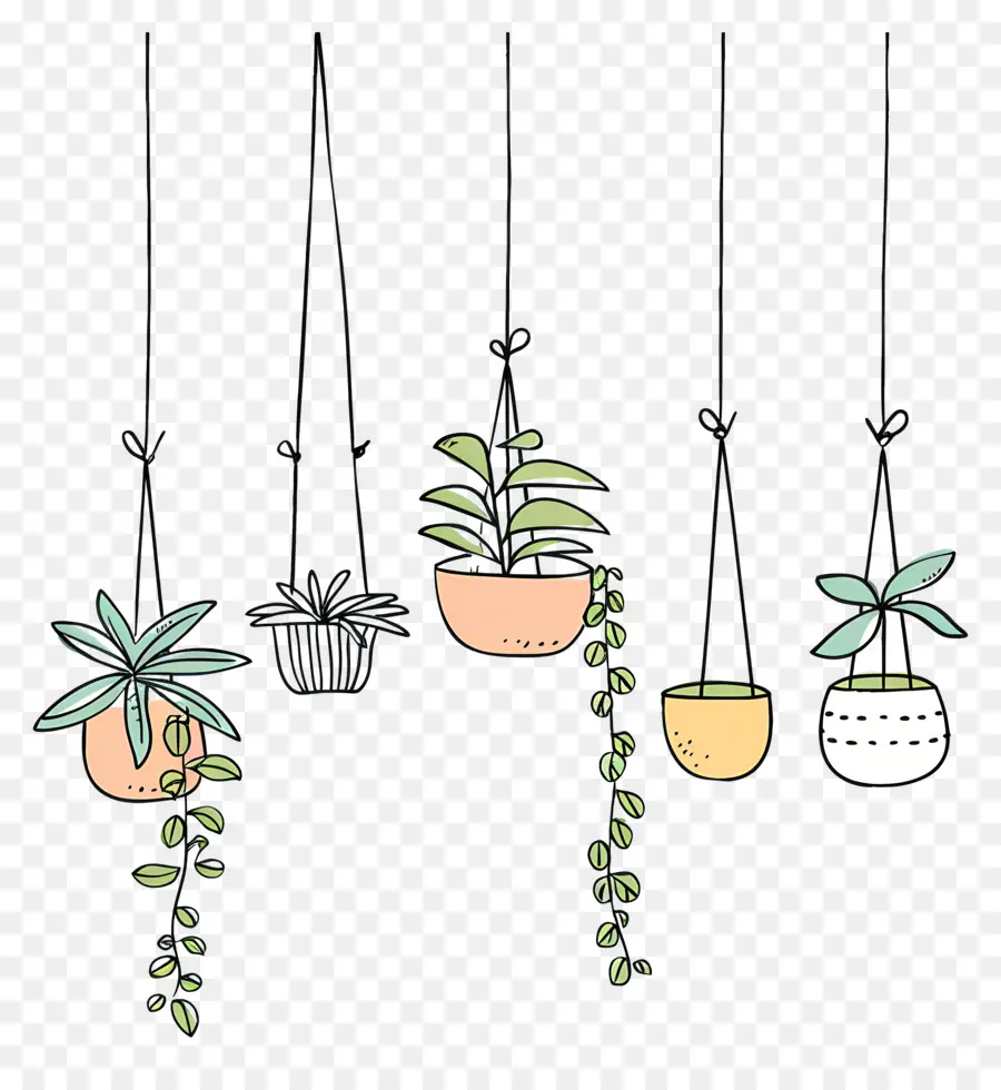 Plantas De Interior Colgando，Las Plantas En Maceta PNG