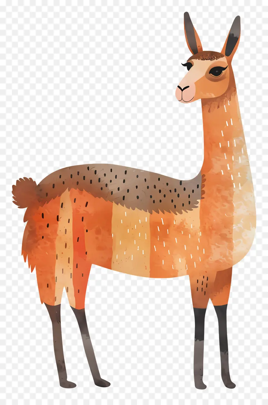 Llama，Oso PNG