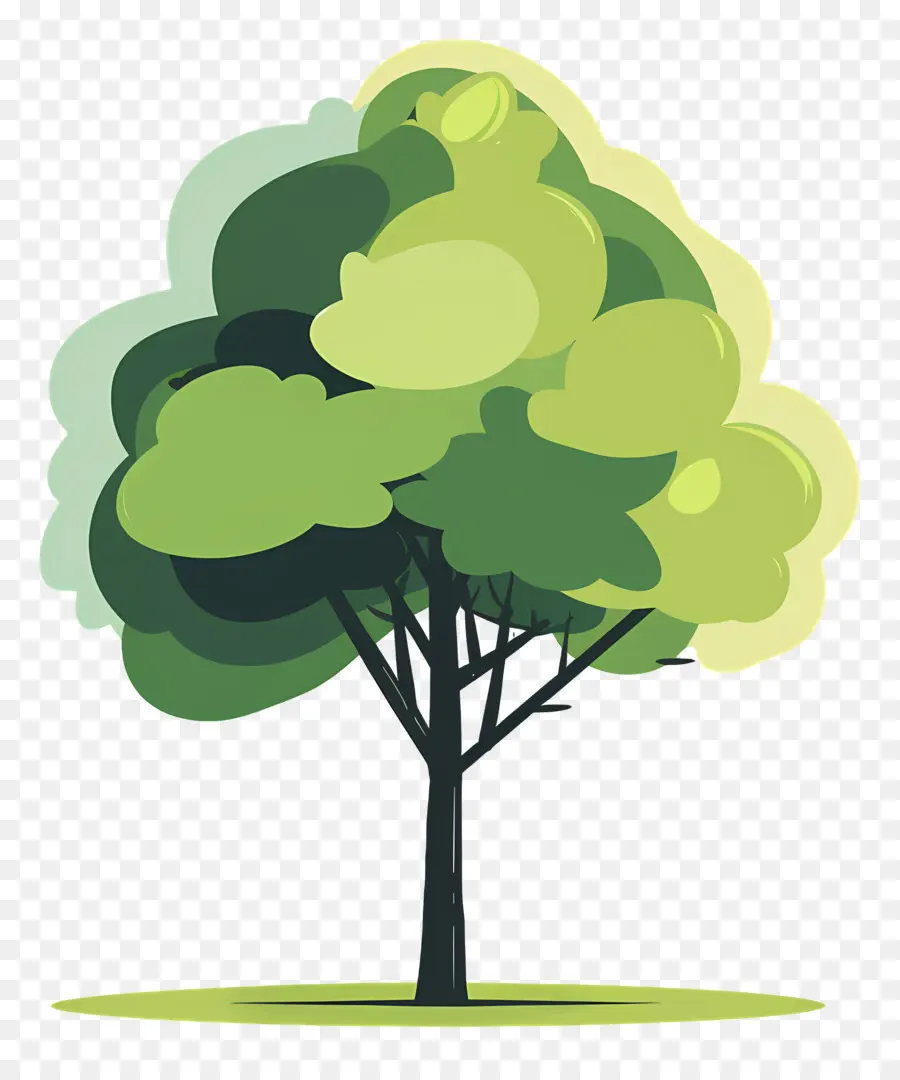 árbol Del Parque，Árbol PNG