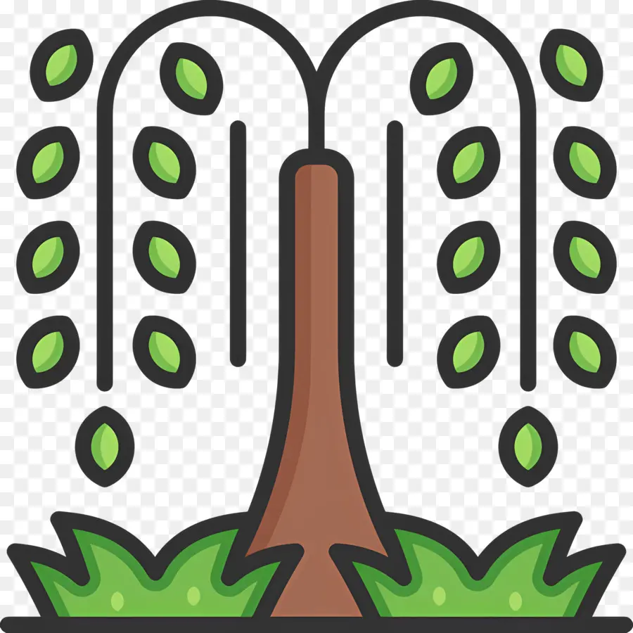 árbol De Sauce，Árbol PNG