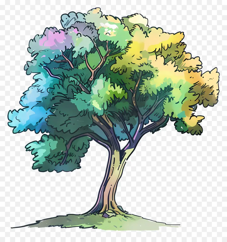 árbol Del Parque，Colorido árbol PNG