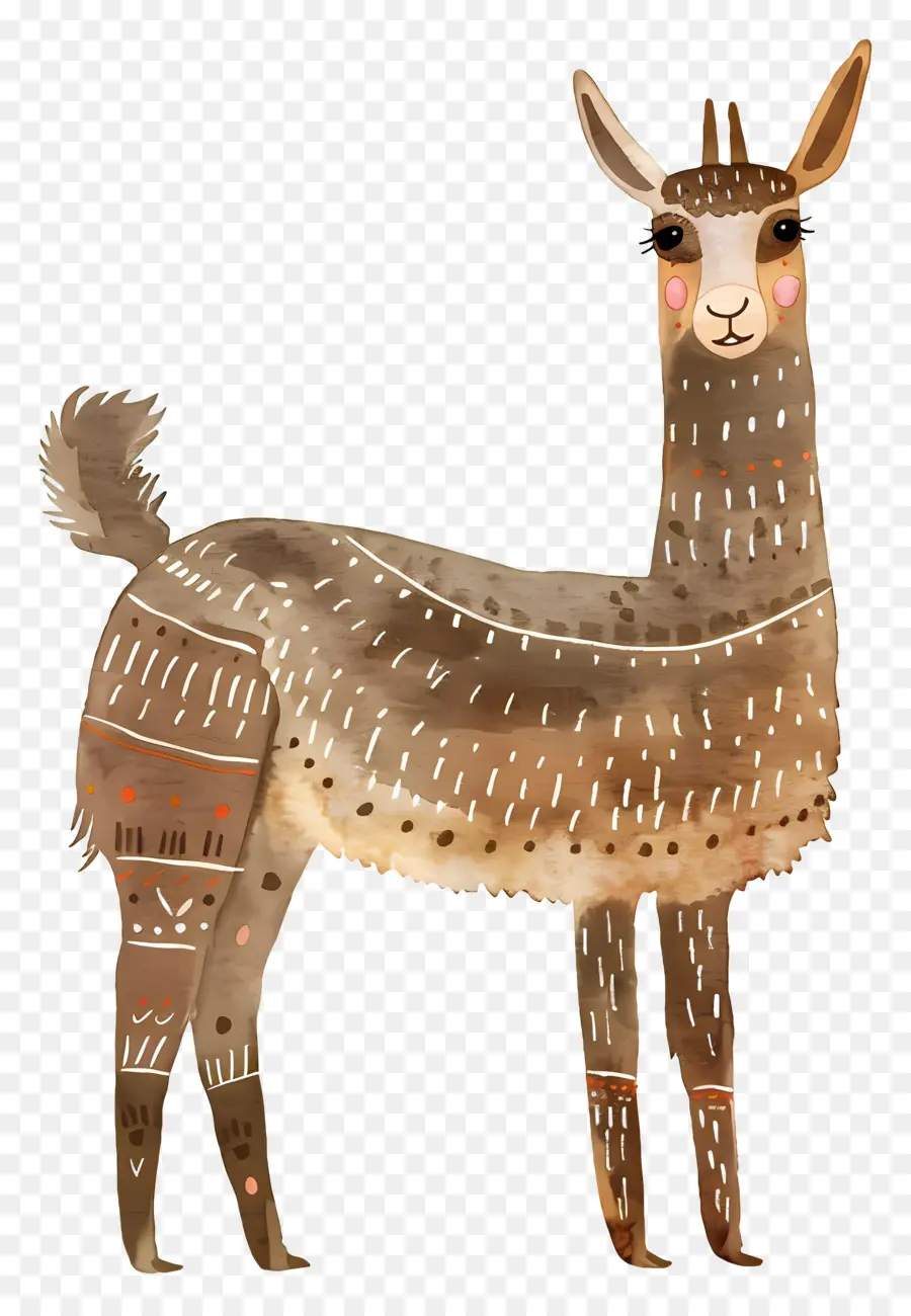 Llama，Animal PNG