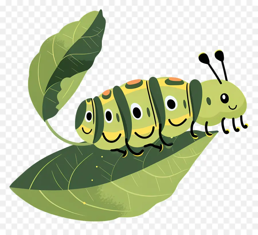 Caterpillar，Oruga Verde PNG