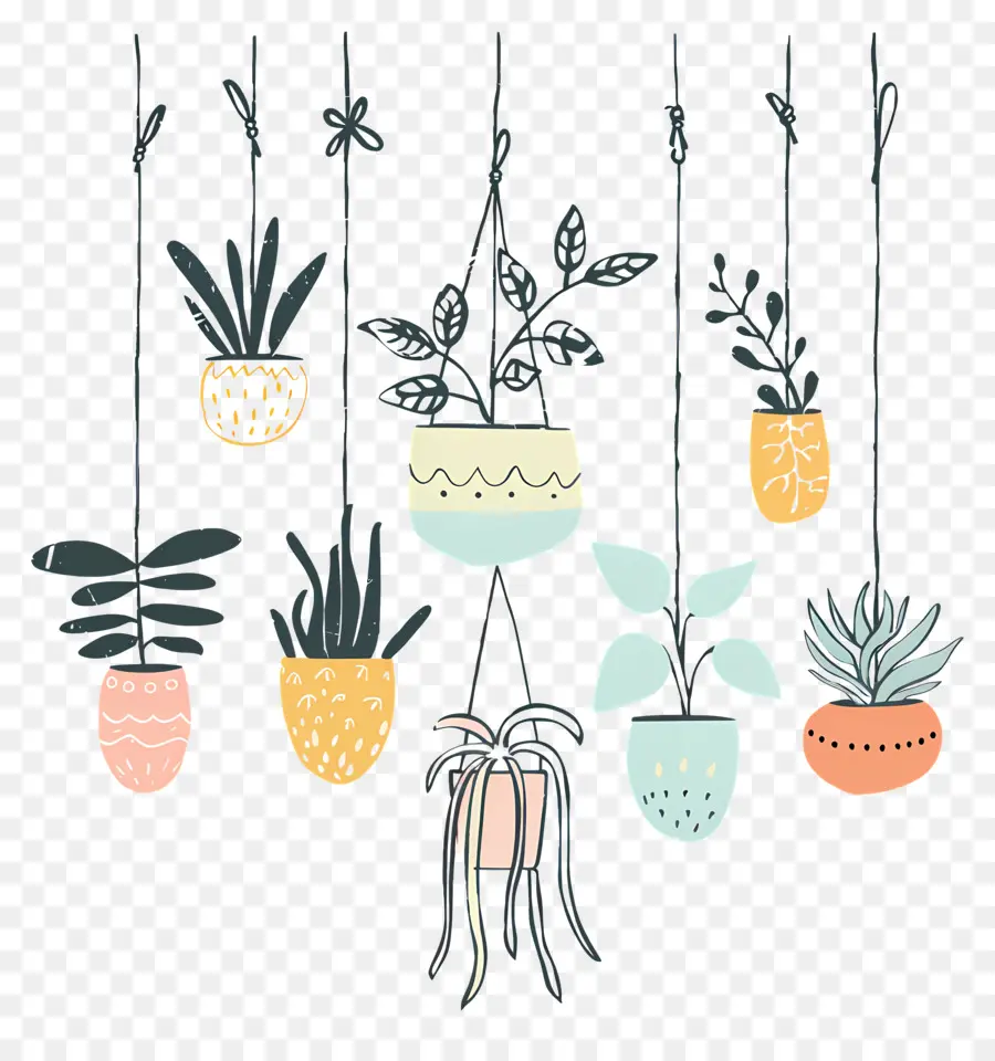 Plantas De Interior Colgando，Las Plantas Colgantes PNG