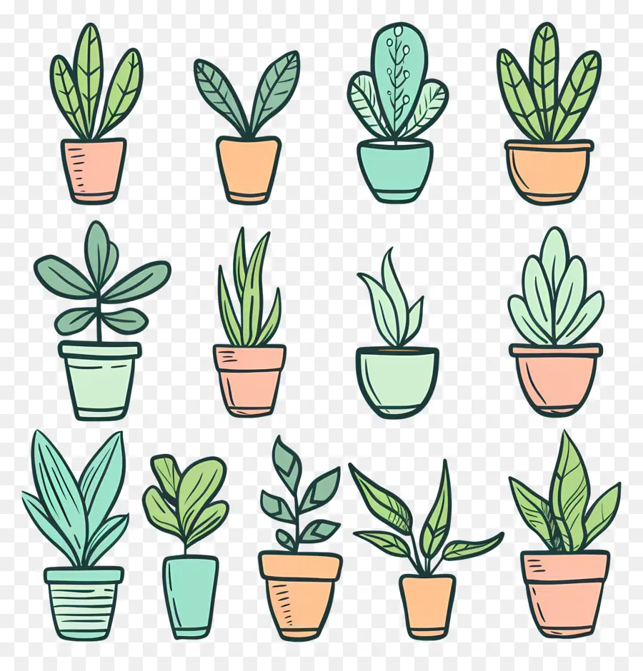 Plantas De Interior En Macetas，Las Plantas En Maceta PNG