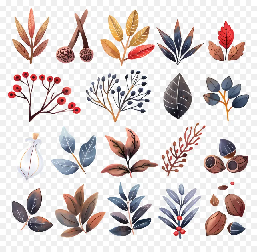 Especias，Acuarela Hojas PNG