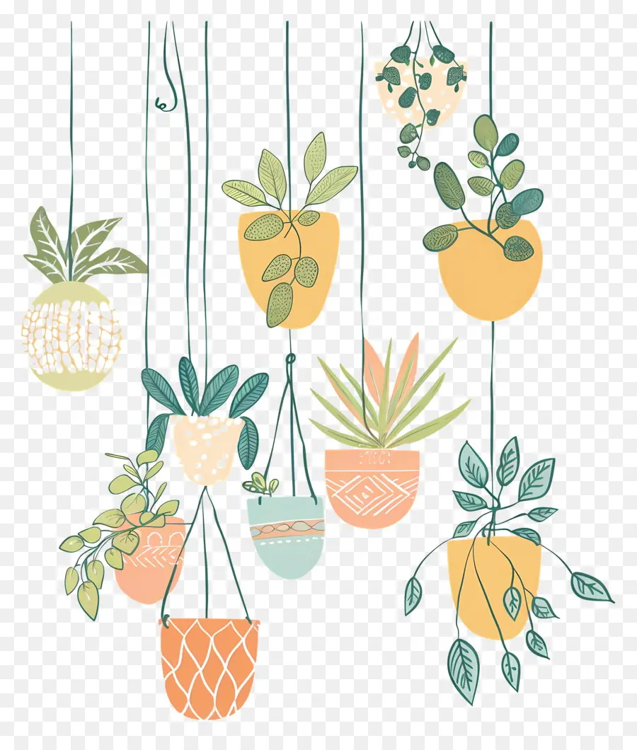 Plantas De Interior Colgando，Las Plantas Colgantes PNG