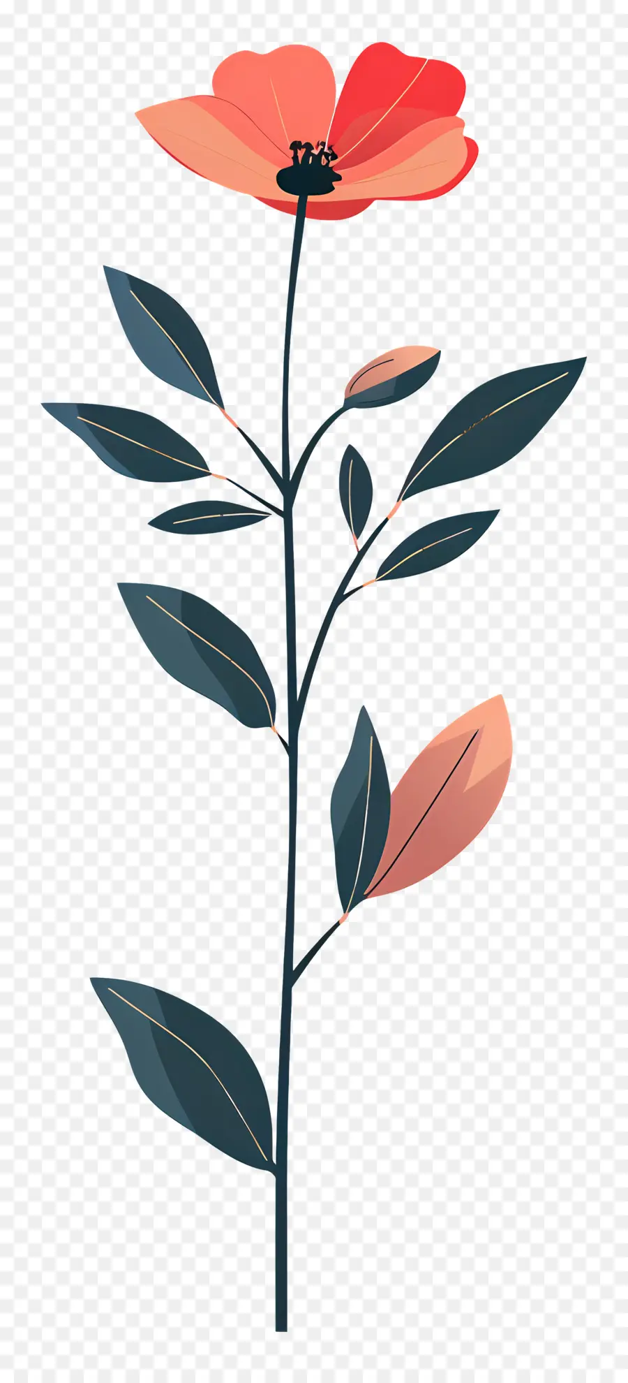 El Tallo Floral，Flor De Dibujo PNG