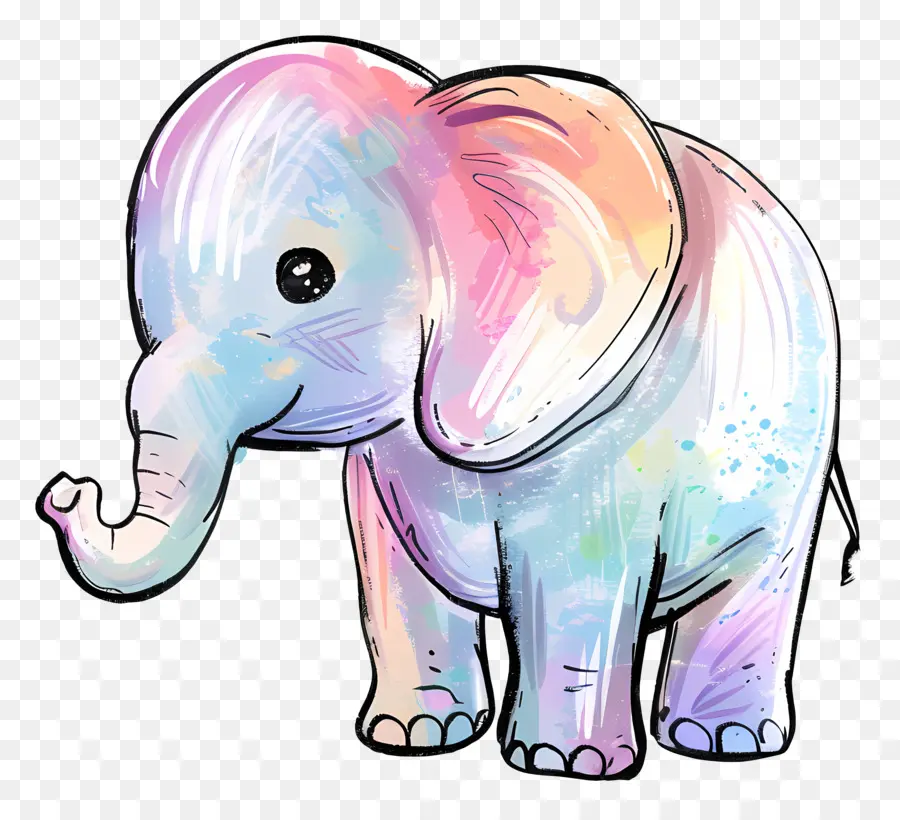 Elefante，Colorido PNG