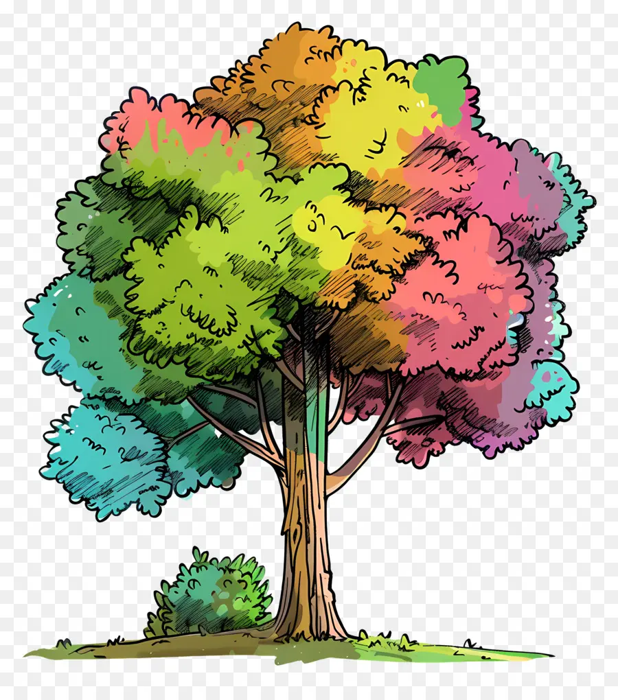 árbol Del Parque，Colorido árbol PNG