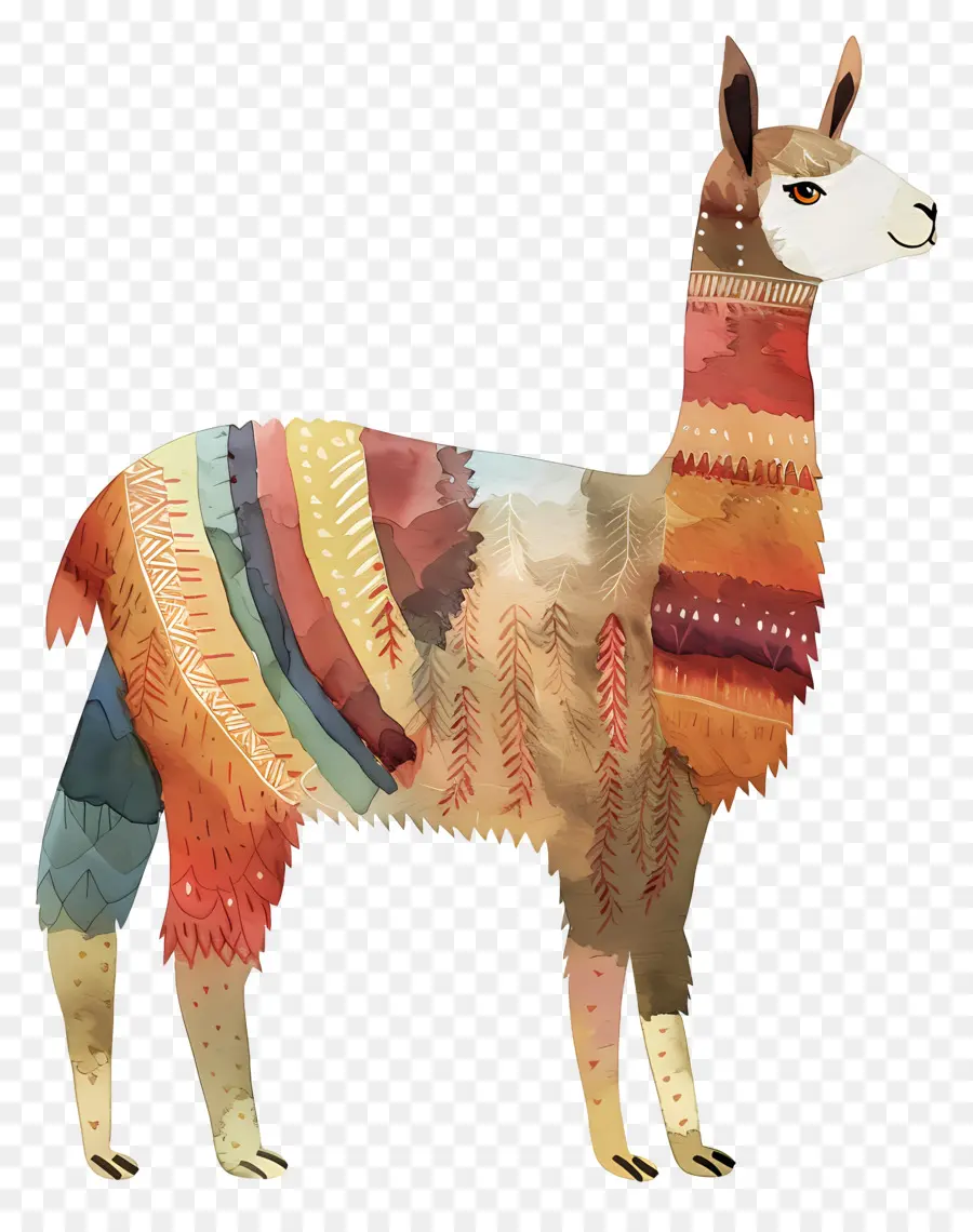 Llama，Colorida Llama PNG