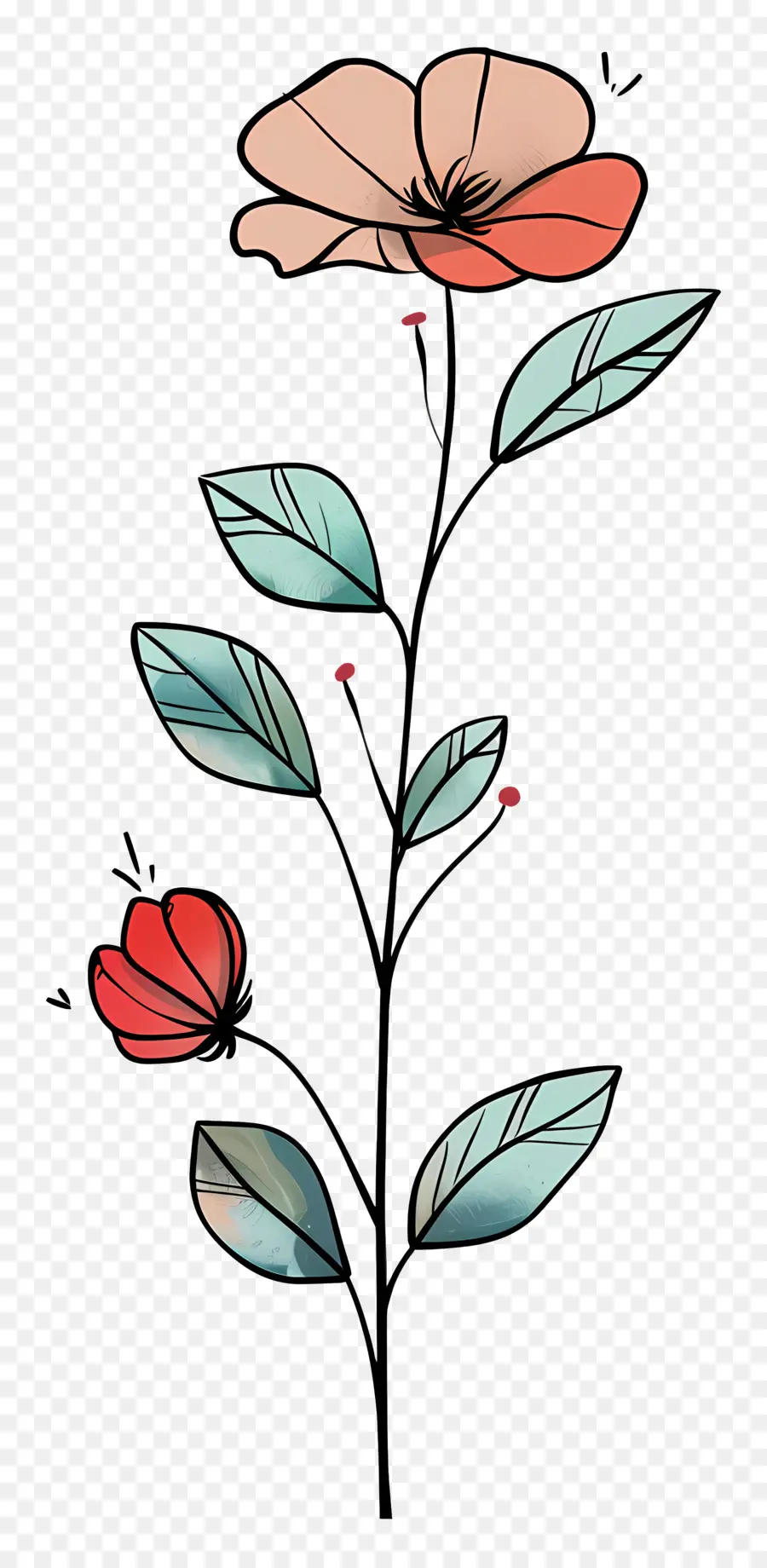 El Tallo Floral，Planta PNG