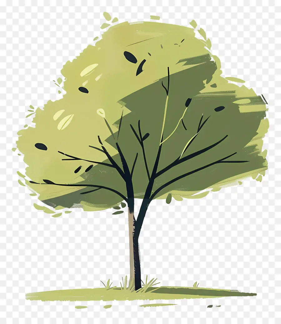 árbol Del Parque，Árbol PNG