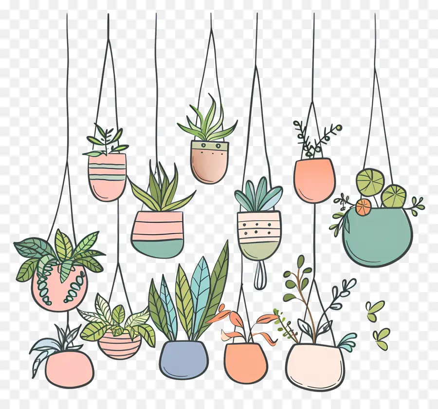 Plantas De Interior Colgando，Las Plantas Colgantes PNG