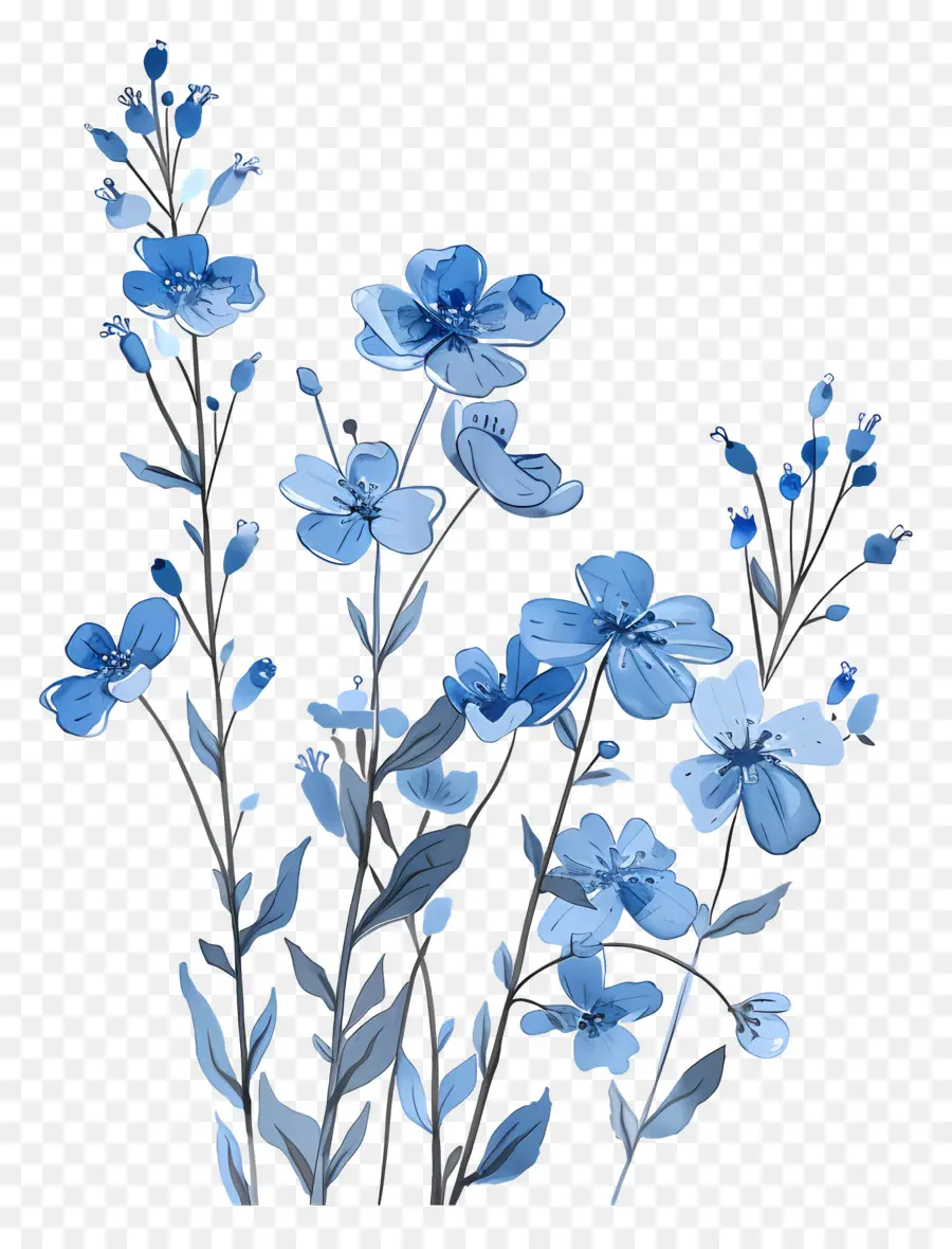 Flores De Color Azul，Flor Azul PNG