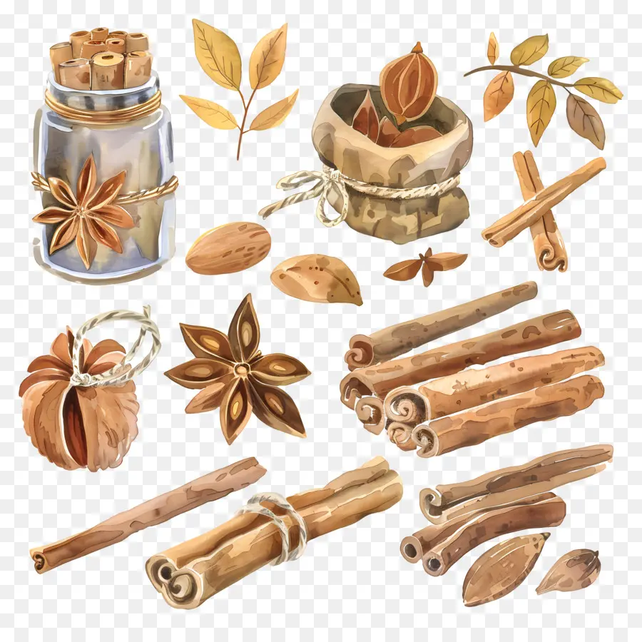 Canela，Palitos De Canela PNG