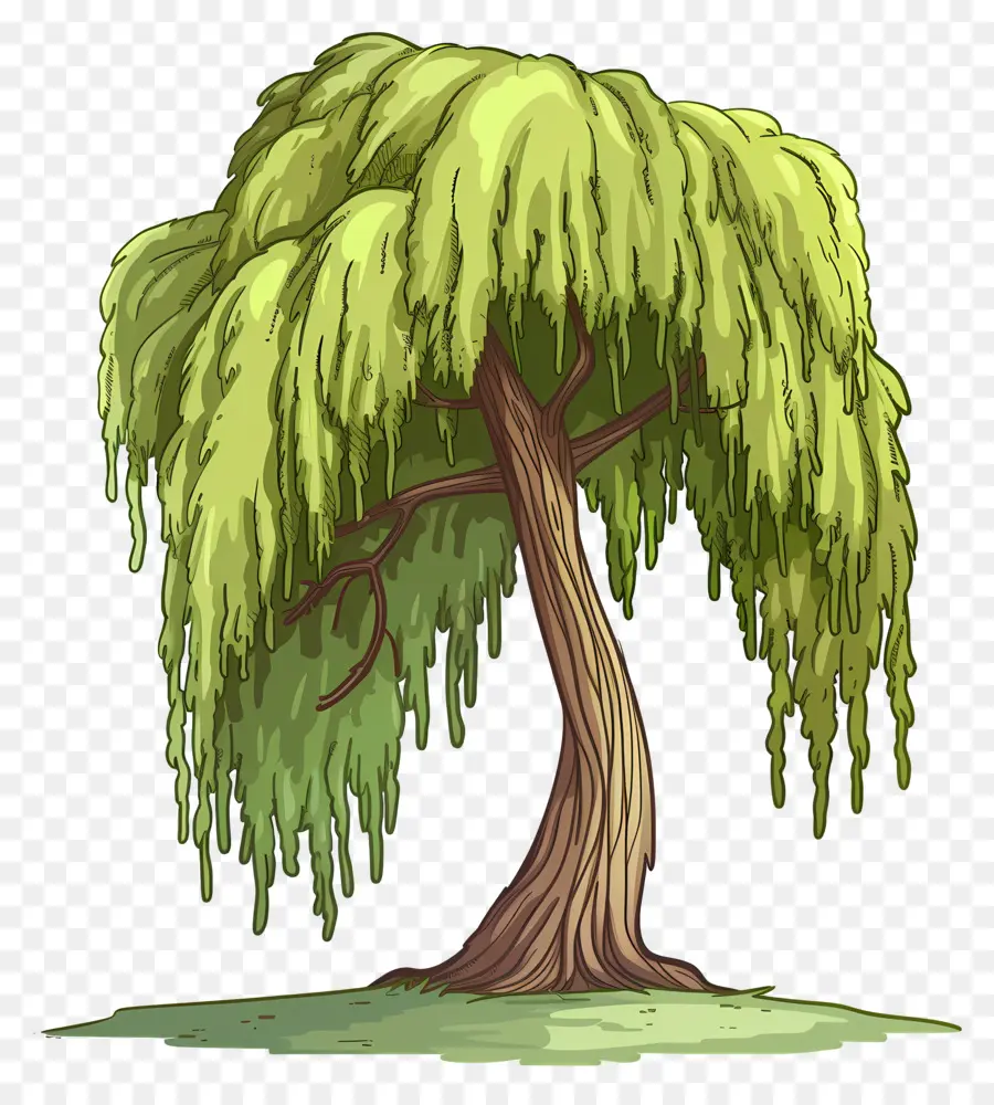 árbol De Sauce，La Historieta PNG