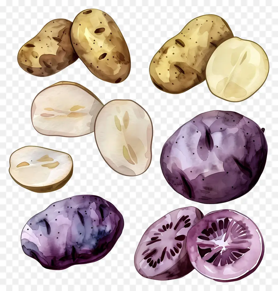 Patatas，Pintura A La Acuarela PNG