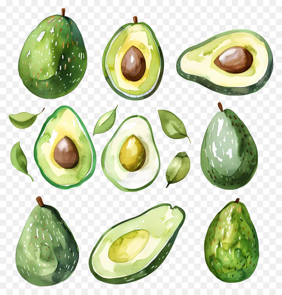 Palta，Aguacates PNG