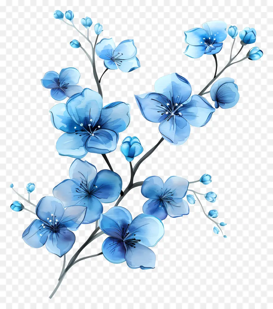 Flores De Color Azul，Los Clústeres PNG