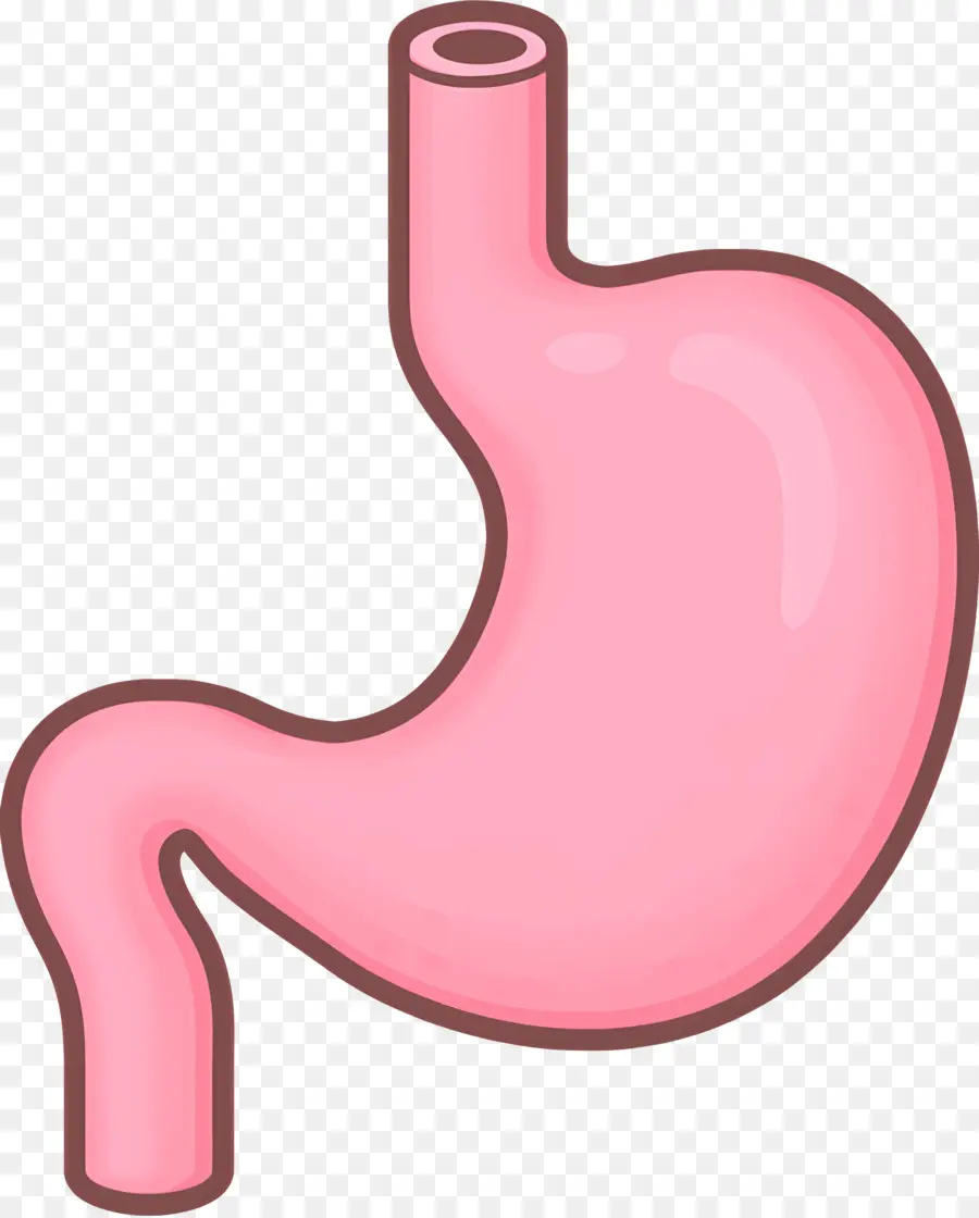 Cómo，Abdomen Rosa PNG