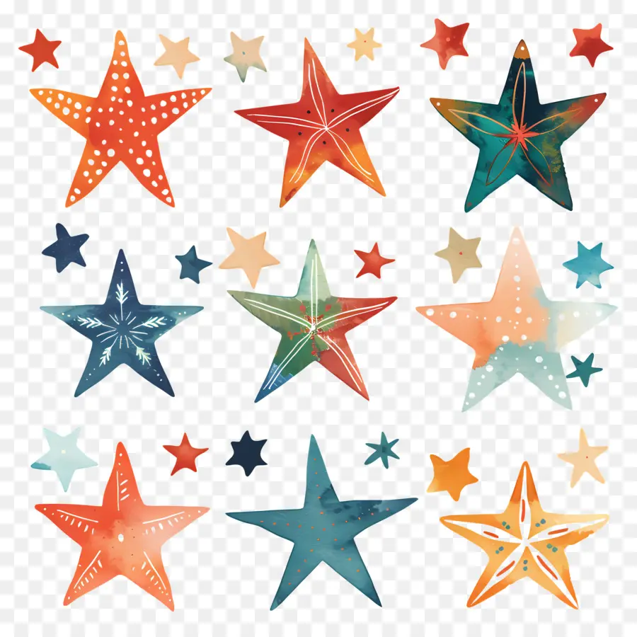 Estrellas，Estrella De Mar PNG