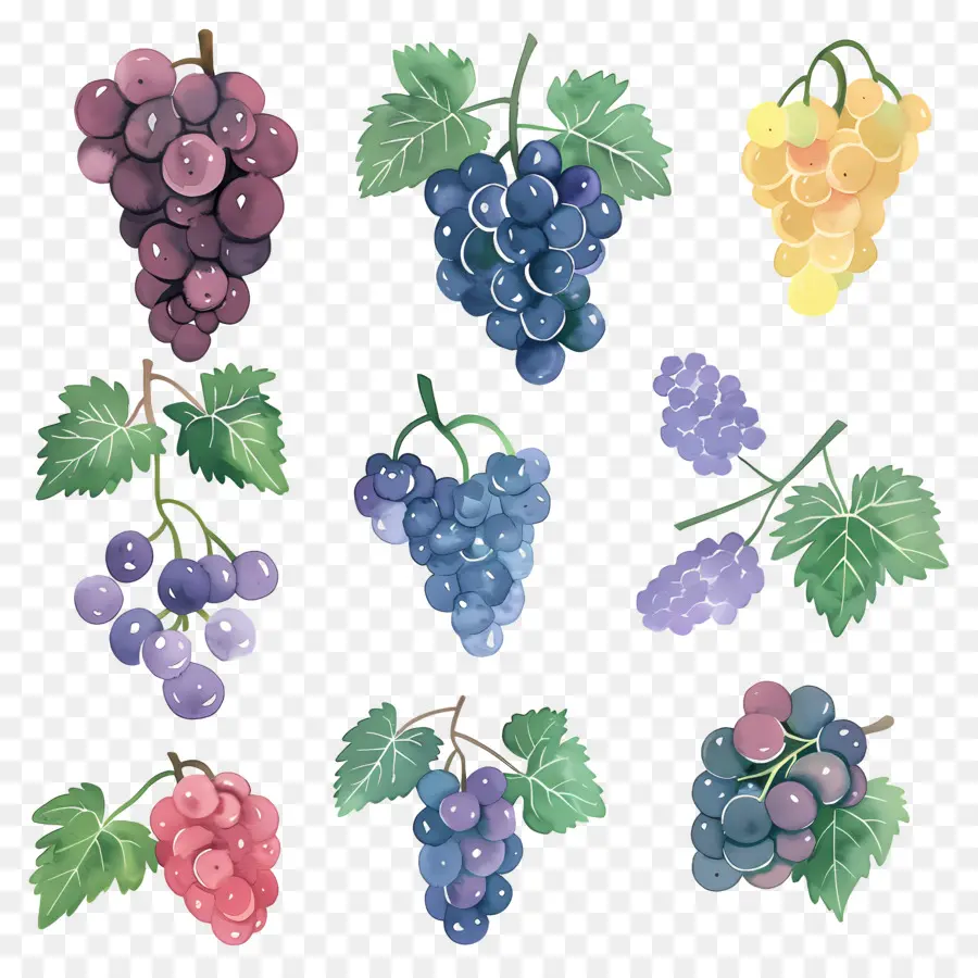 Las Uvas，Uvas Verdes PNG