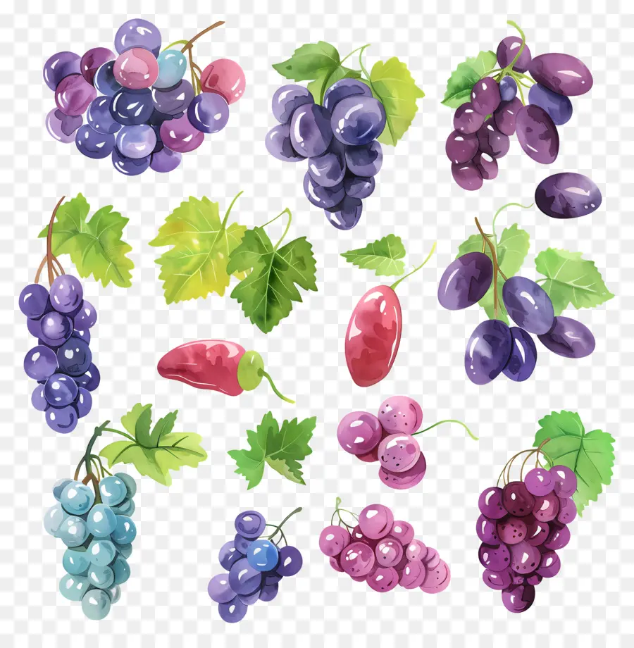 Las Uvas，Uvas De Acuarela PNG