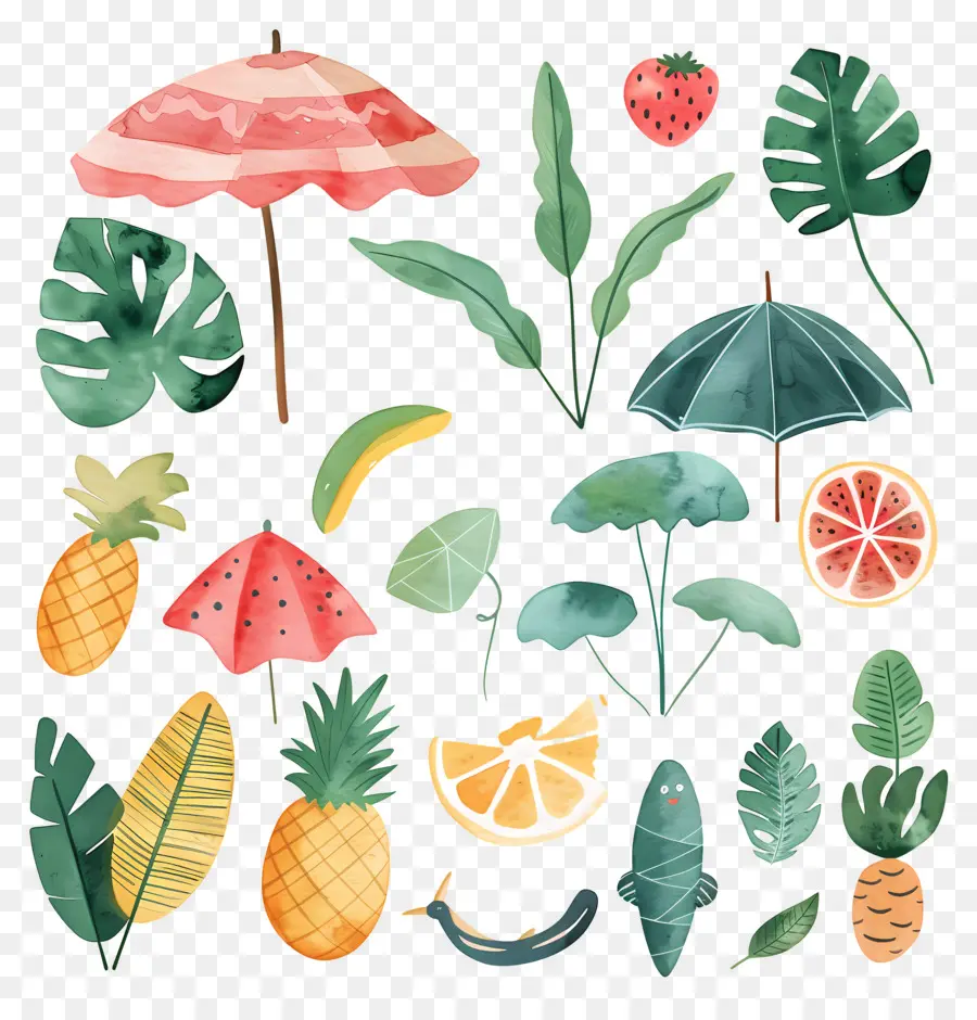 Verano，Tropical Fruits PNG