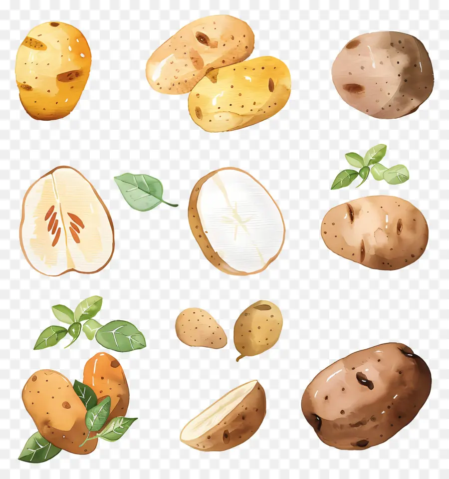 Patatas，Ripe PNG