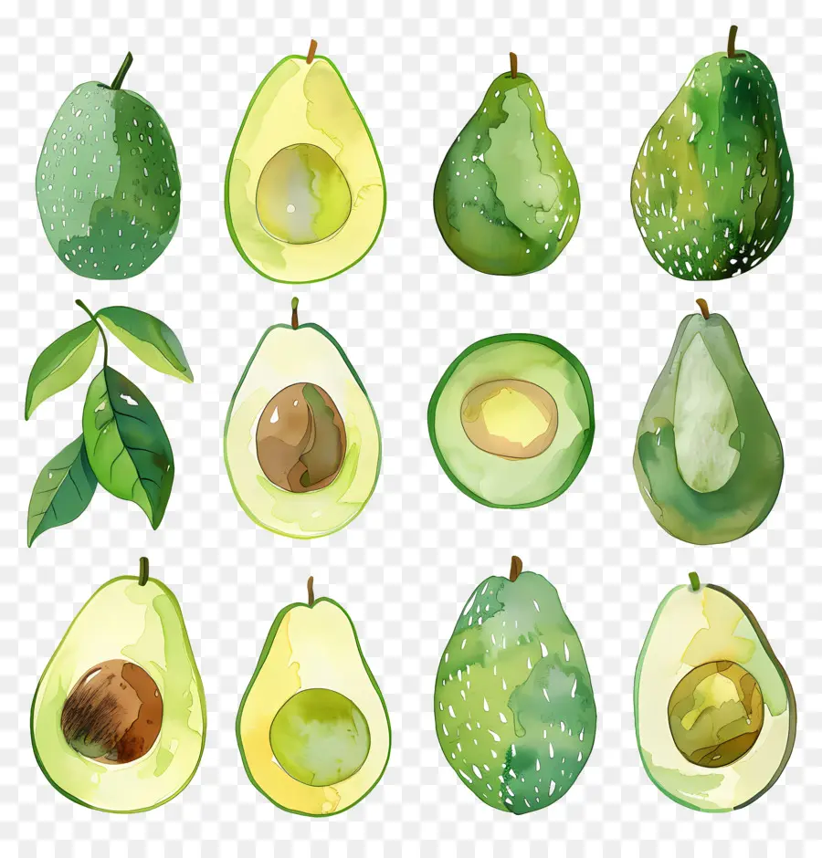 Aguacate，Ripe PNG