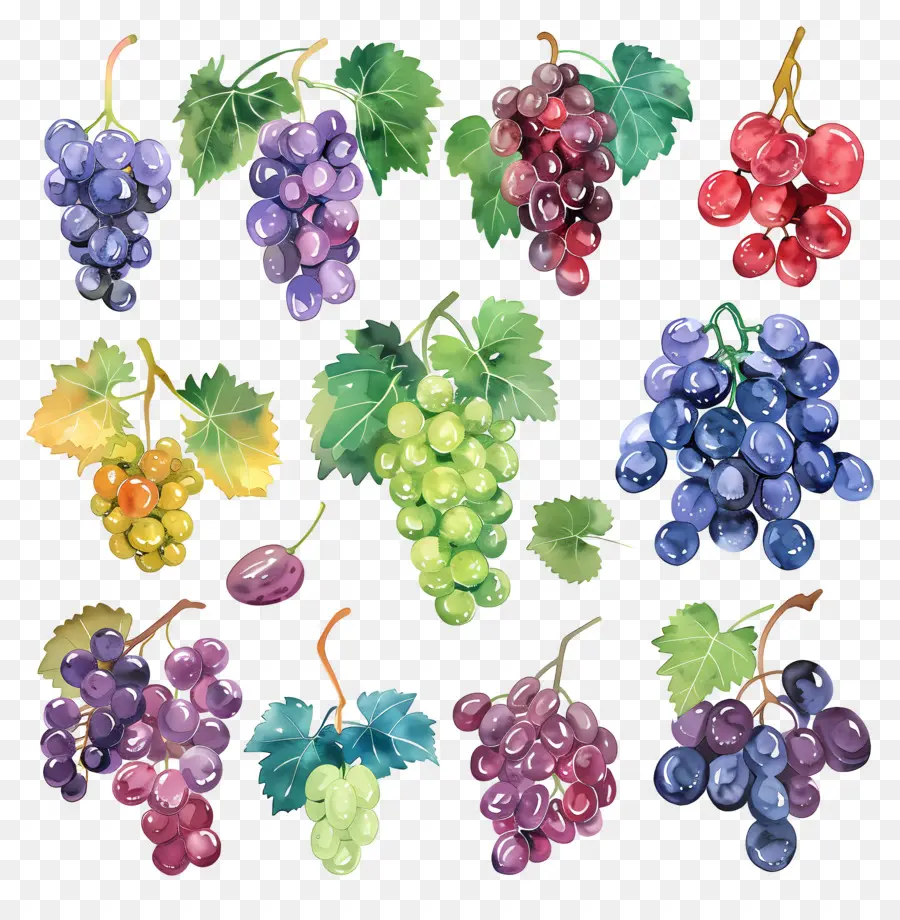 Las Uvas，La Fruta PNG