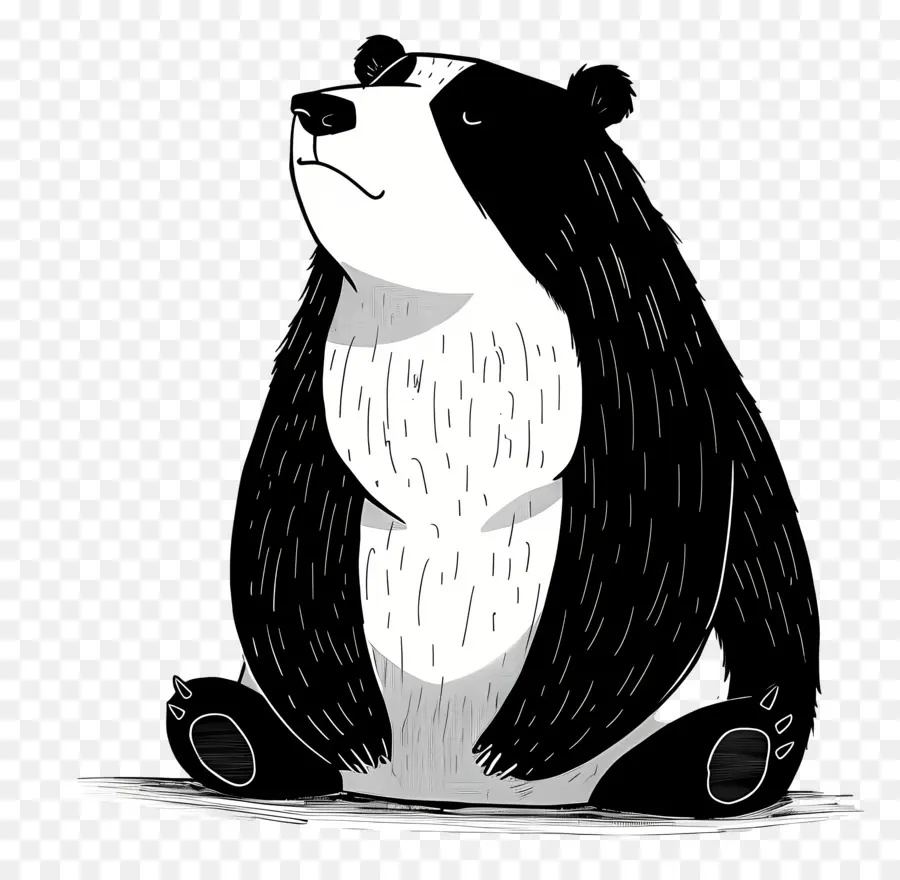 Cartoon Bear，El Oso Negro PNG