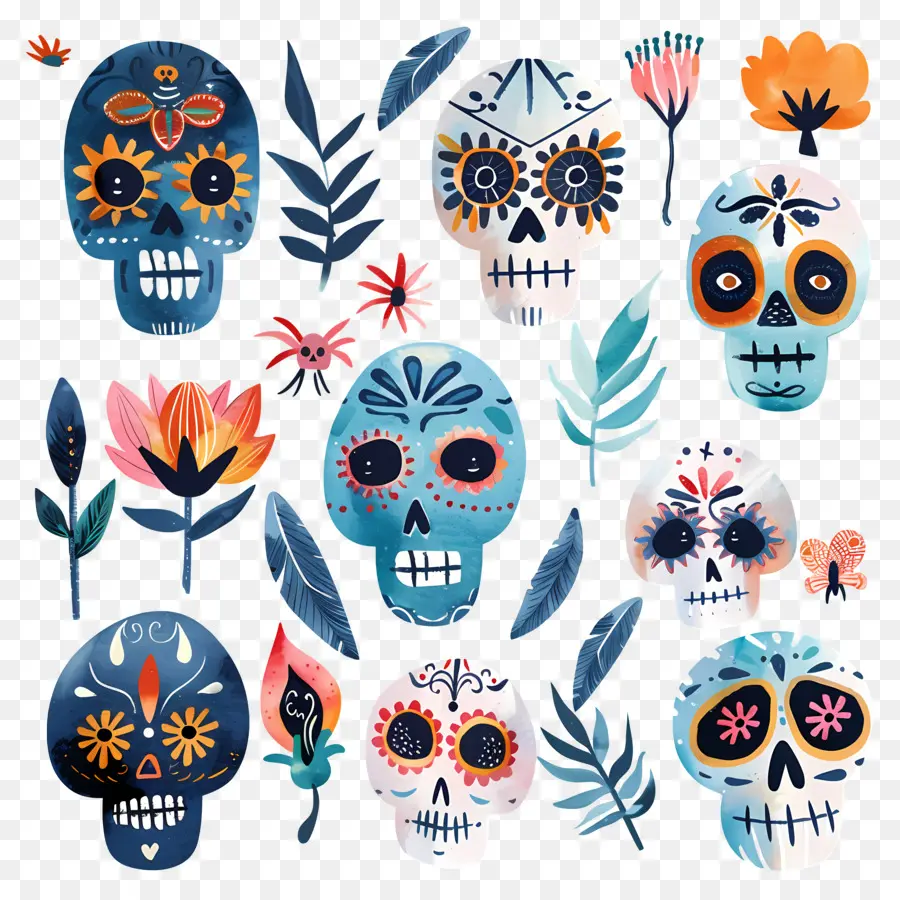 Calaveras De Azúcar，Cráneos PNG