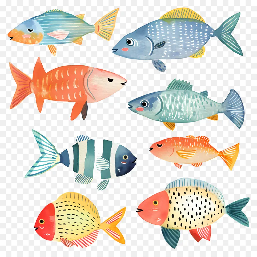 Los Peces，Peces De Colores PNG