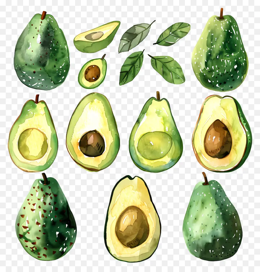 Aguacate，Aguacates Maduros PNG