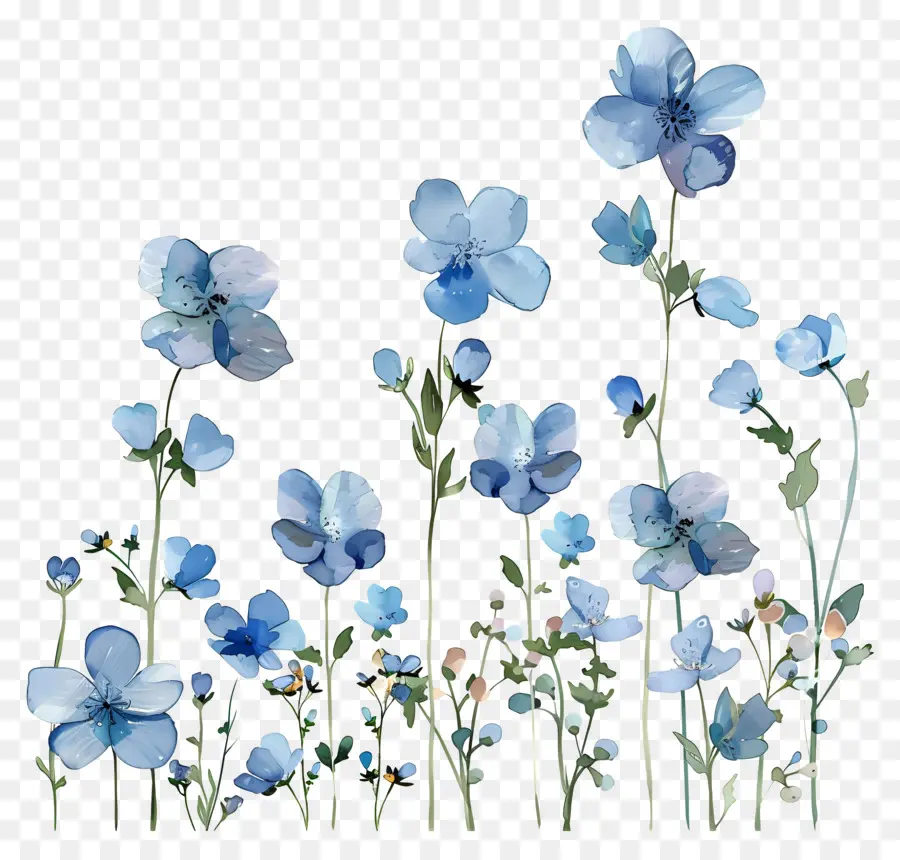 Flores De Color Azul，Azul De Flores Silvestres PNG