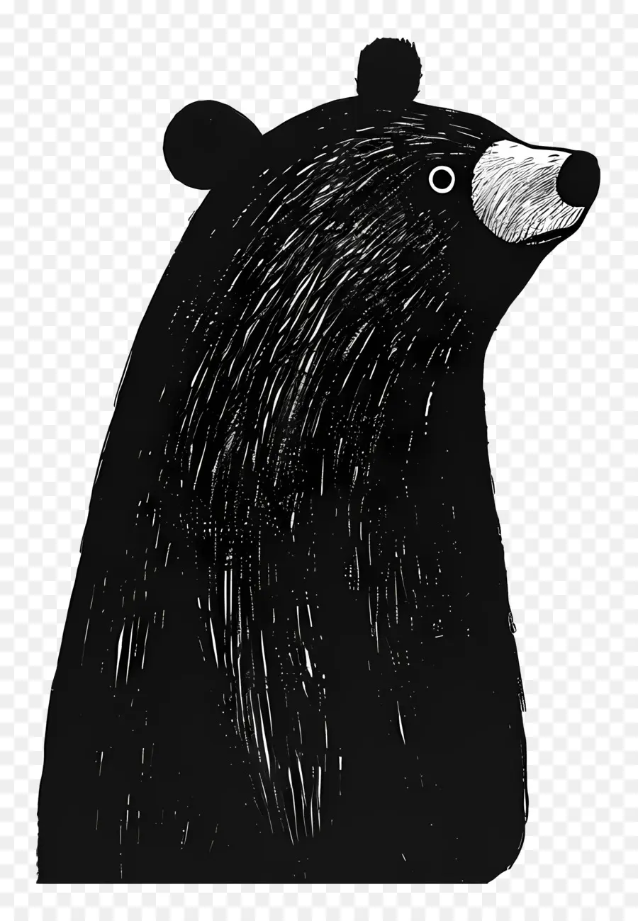 Cartoon Bear，El Oso Negro PNG