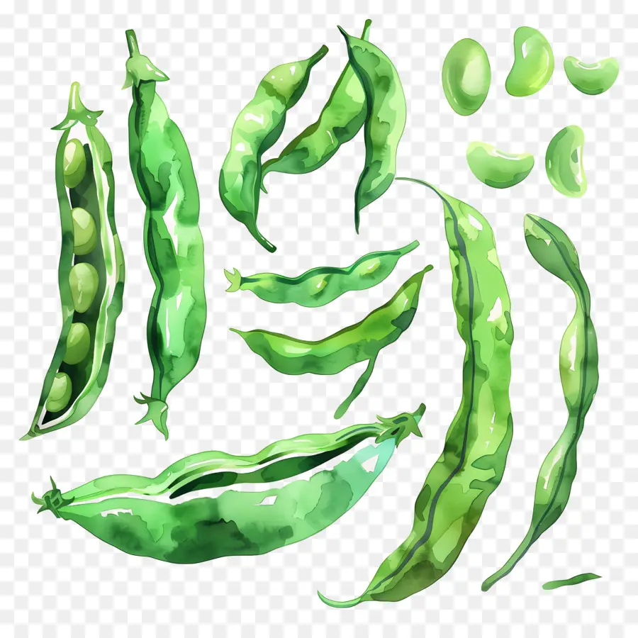 Judías Verdes，Guisantes Verdes PNG