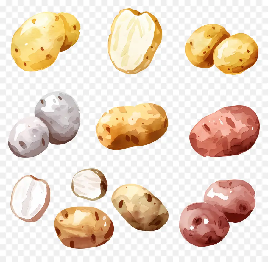 Patatas，Patata PNG