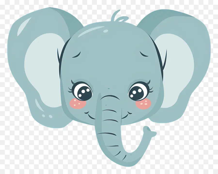 Linda Cara De Elefante，Elefante PNG