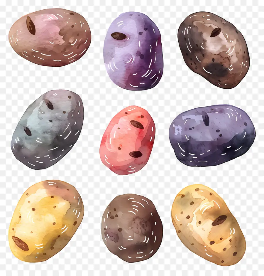 Patatas，Diferentes Colores PNG