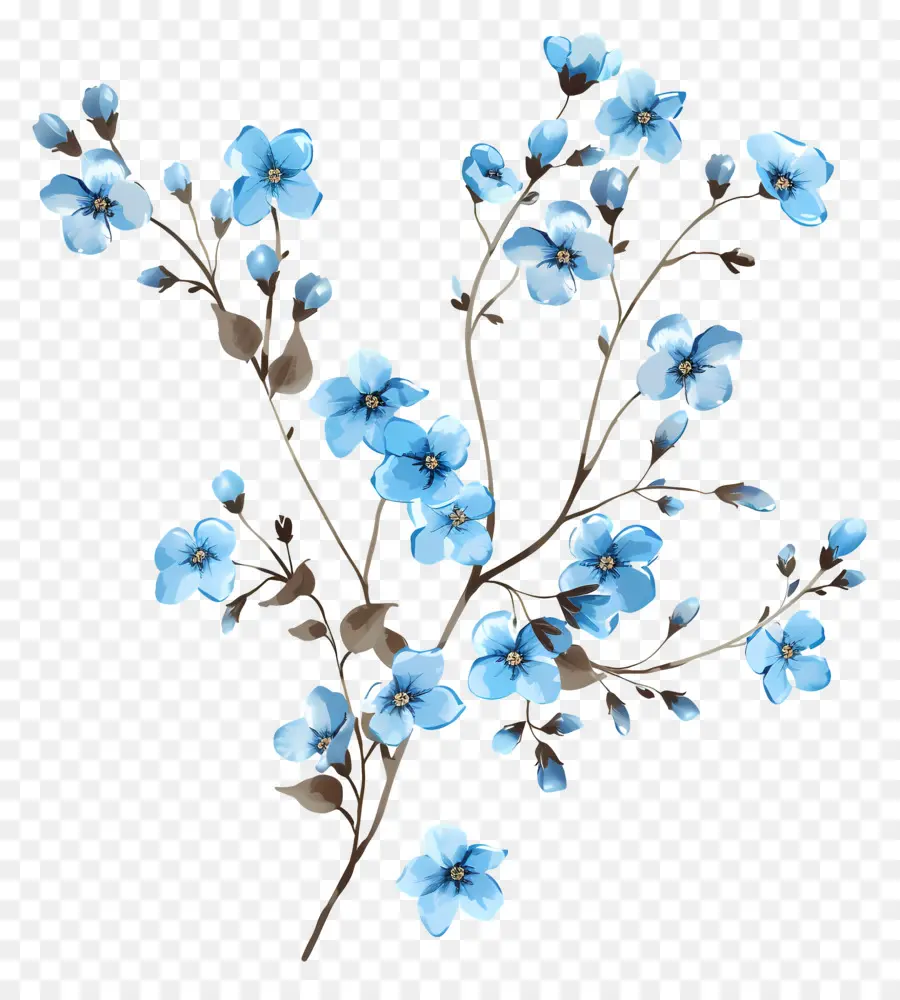 Flores De Color Azul，Rama Floreciente PNG