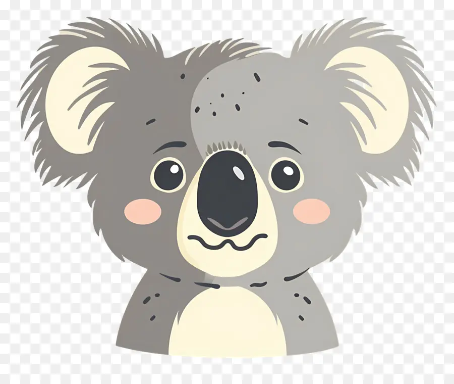 Linda Cara De Koala，Canguro PNG