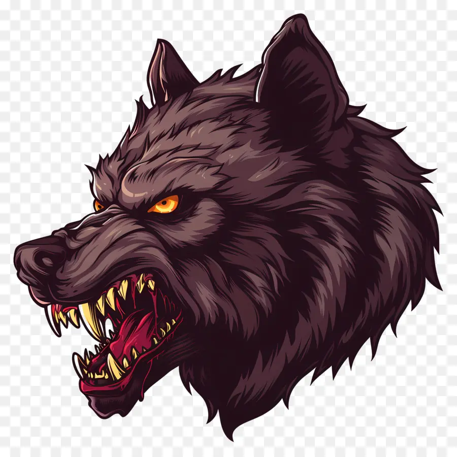 Cabeza De Hombre Lobo，Lobo PNG